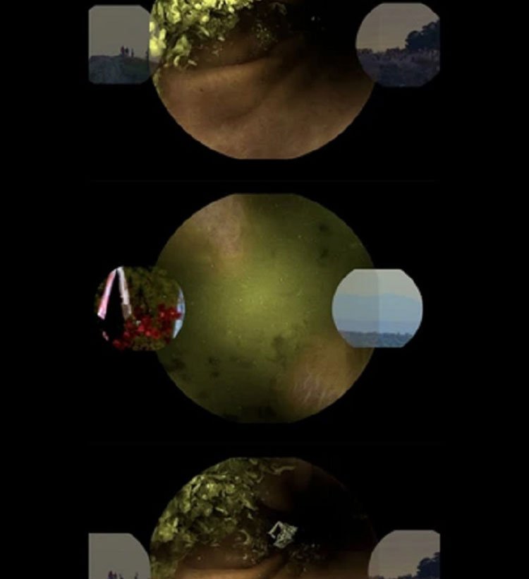 Eduardo Teddy Williams | Greensmith Artists - International Talent Management Agency